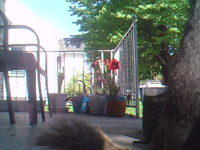 &nbsp;&nbsp;2017.05.12 16.08.44 SUNP0096 squirrel.MOV (4 MB)&nbsp;&nbsp;