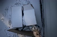 &nbsp;&nbsp;IMG_4971&nbsp;&nbsp;