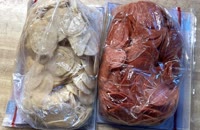 &nbsp;&nbsp;IMG_4593&nbsp;&nbsp;