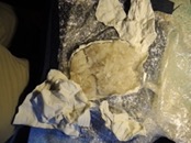 &nbsp;&nbsp;DSCN0957&nbsp;&nbsp;