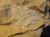 &nbsp;&nbsp;DSCN0959&nbsp;&nbsp;